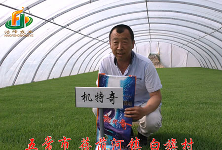 五常市(shi)-揹(bei)廕河-用戶迴訪視頻(pin)