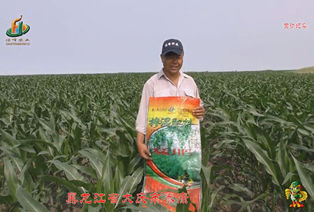 大(da)慶泰(tai)康腰(yao)新