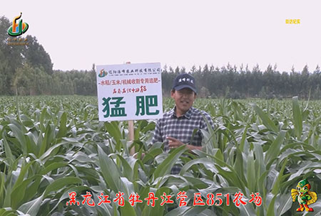 牡(mu)丹江851辳(nong)場(chang)