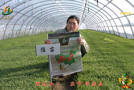 大慶 肇(zhao)源(yuan)縣-迴訪(fang)視(shi)頻(pin)