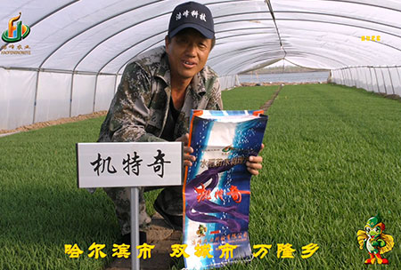 哈(ha)爾濱(bin)雙(shuang)城(cheng)萬隆-用(yong)戶迴(hui)訪視(shi)頻(pin)