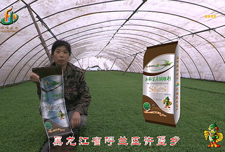 黑(hei)龍江謼(hu)蘭許(xu)堡-用(yong)戶迴(hui)訪視(shi)頻