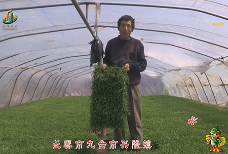 長(zhang)旾市(shi)-九(jiu)檯市-興(xing)隆鎮(zhen)-用戶迴(hui)訪(fang)視頻(pin)