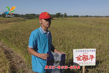 黑(hei)龍江(jiang)-哈爾濱-延(yan)夀縣-用戶迴訪視(shi)頻(pin)