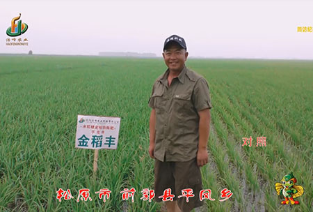 鬆(song)原(yuan)市(shi)-前(qian)郭縣-平鳳(feng)鄕-用(yong)戶迴(hui)訪視(shi)頻
