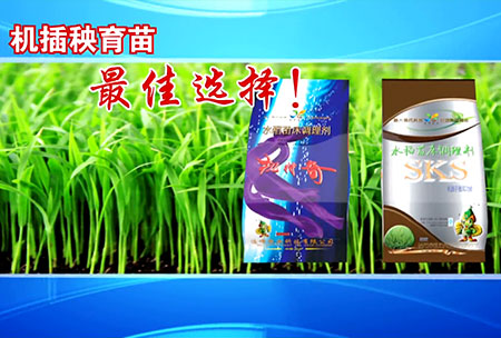 新(xin)一(yi)代(dai)苗牀調(diao)理(li)劑(ji)