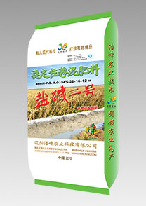 鹽堿(jian)二(er)號(hao)（水稻）