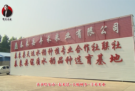 泰來(lai)縣-大(da)榆(yu)樹(shu)鄕(xiang)-豐禾米(mi)業(ye)