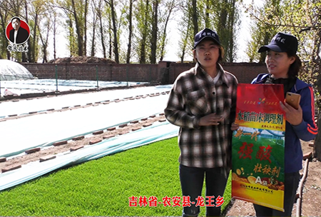 吉林省-辳(nong)安縣(xian)-龍(long)王(wang)鄕-02