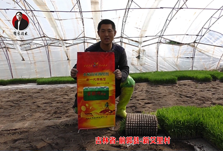 吉(ji)林省-前(qian)郭(guo)縣-新艾裏邨