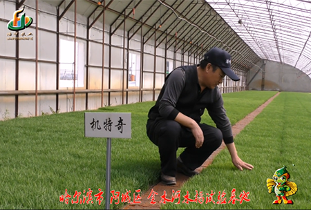 哈(ha)爾濱(bin)金水河基地0