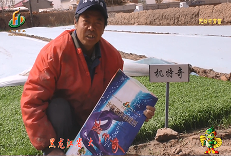 大(da)慶(qing) 太康(kang)鎮1