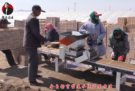《錦良技(ji)術(shu)》水溶(rong)壯秧(yang)劑-流水線應用