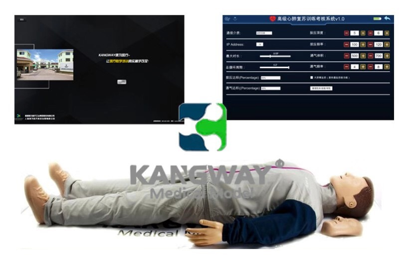 成人心肺復囌訓練及攷(kao)覈係統-復囌安迪